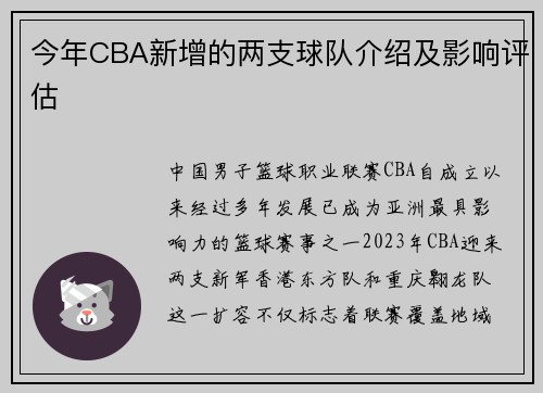 今年CBA新增的两支球队介绍及影响评估
