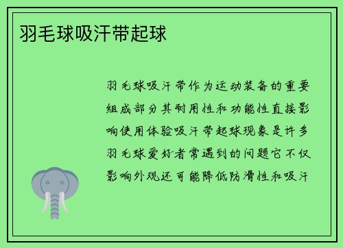羽毛球吸汗带起球